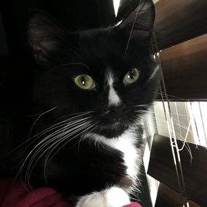 Meet your Posher, Kaitlynn